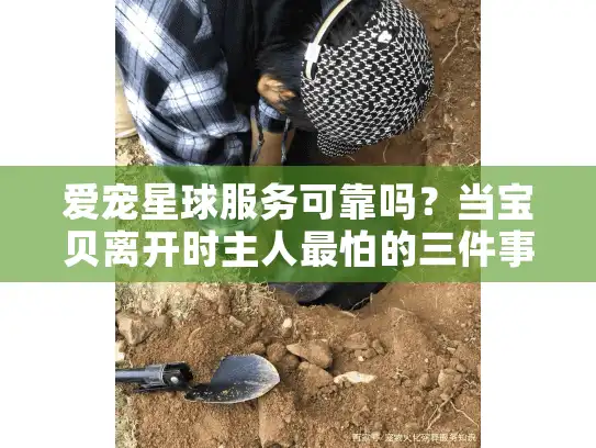 爱宠星球服务可靠吗？当宝贝离开时主人最怕的三件事