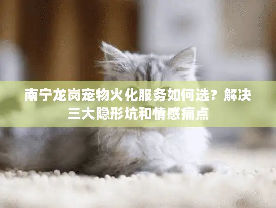 南宁龙岗宠物火化服务如何选？解决三大隐形坑和情感痛点