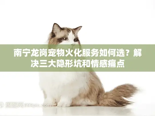 南宁龙岗宠物火化服务如何选？解决三大隐形坑和情感痛点