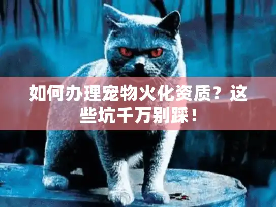 如何办理宠物火化资质？这些坑千万别踩！
