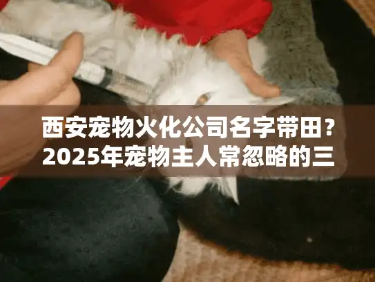西安宠物火化公司名字带田？2025年宠物主人常忽略的三大抉择误区揭秘