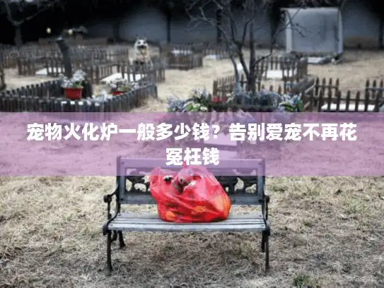 宠物火化炉一般多少钱？告别爱宠不再花冤枉钱