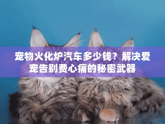 宠物火化炉汽车多少钱？解决爱宠告别费心痛的秘密武器