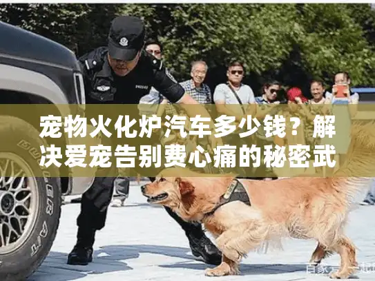 宠物火化炉汽车多少钱？解决爱宠告别费心痛的秘密武器