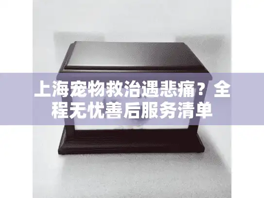 上海宠物救治遇悲痛？全程无忧善后服务清单