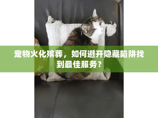 宠物火化殡葬，如何避开隐藏陷阱找到最佳服务？