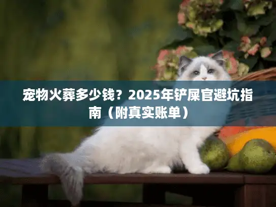 宠物火葬多少钱？2025年铲屎官避坑指南（附真实账单）