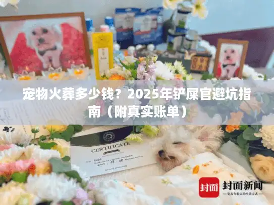 宠物火葬多少钱？2025年铲屎官避坑指南（附真实账单）