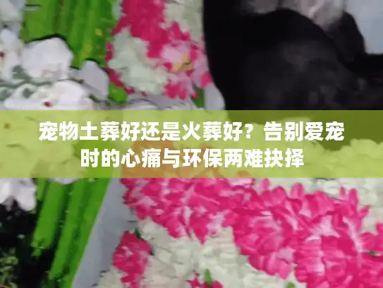 宠物土葬好还是火葬好？告别爱宠时的心痛与环保两难抉择