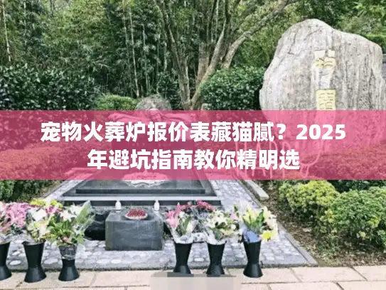 宠物火葬炉报价表藏猫腻？2025年避坑指南教你精明选