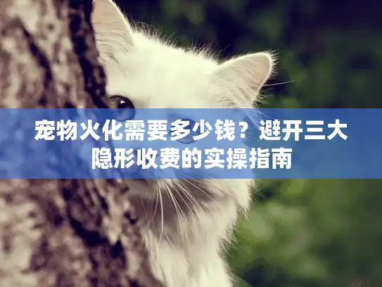 宠物火化需要多少钱？避开三大隐形收费的实操指南