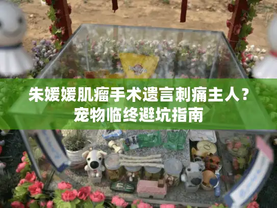 朱媛媛肌瘤手术遗言刺痛主人？宠物临终避坑指南