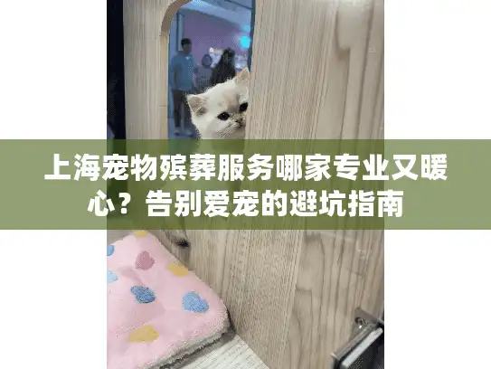 上海宠物殡葬服务哪家专业又暖心？告别爱宠的避坑指南