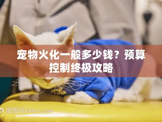 宠物火化一般多少钱？预算控制终极攻略
