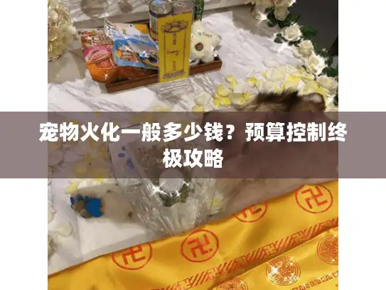 宠物火化一般多少钱？预算控制终极攻略