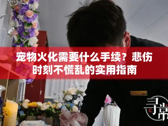 宠物火化需要什么手续？悲伤时刻不慌乱的实用指南