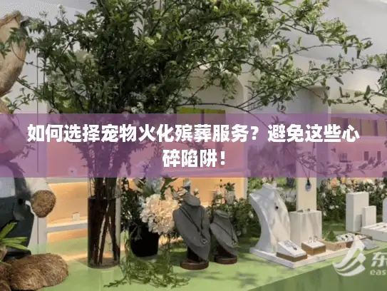 如何选择宠物火化殡葬服务？避免这些心碎陷阱！