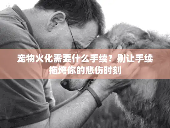 宠物火化需要什么手续？别让手续拖垮你的悲伤时刻