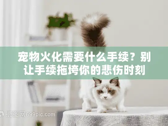 宠物火化需要什么手续？别让手续拖垮你的悲伤时刻