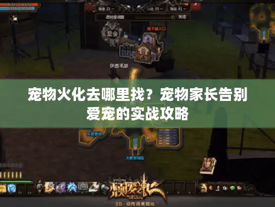 宠物火化去哪里找？宠物家长告别爱宠的实战攻略