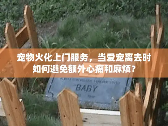 宠物火化上门服务，当爱宠离去时如何避免额外心痛和麻烦？