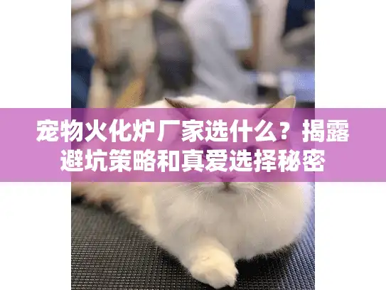 宠物火化炉厂家选什么？揭露避坑策略和真爱选择秘密