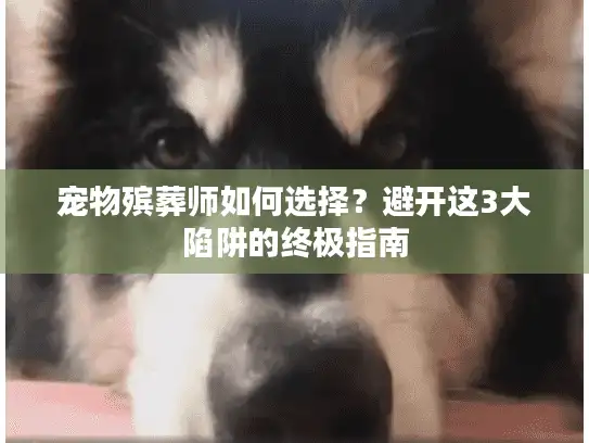 宠物殡葬师如何选择？避开这3大陷阱的终极指南