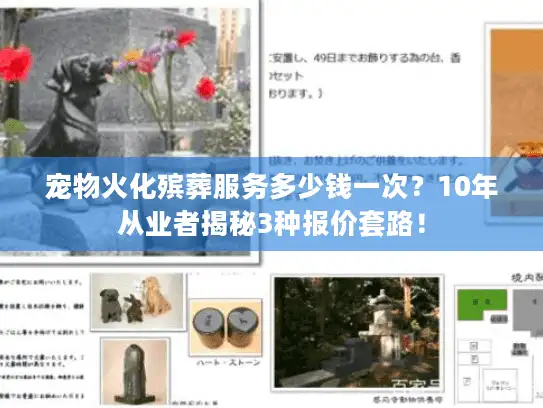 宠物火化殡葬服务多少钱一次？10年从业者揭秘3种报价套路！
