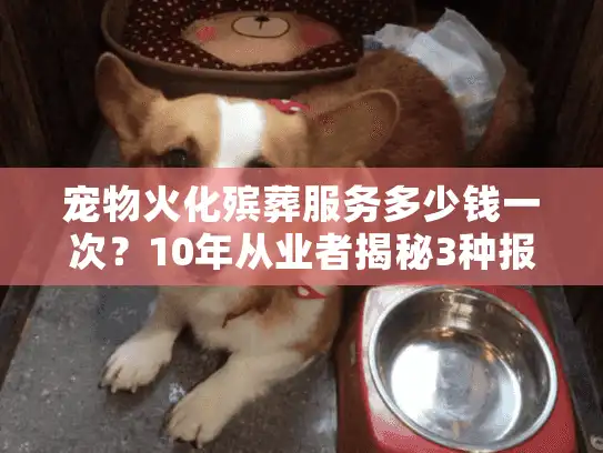 宠物火化殡葬服务多少钱一次？10年从业者揭秘3种报价套路！