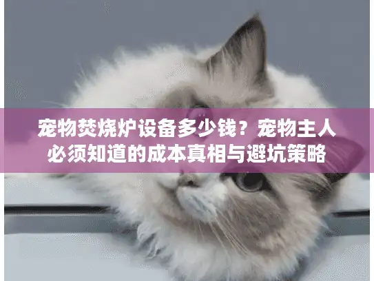 宠物焚烧炉设备多少钱？宠物主人必须知道的成本真相与避坑策略