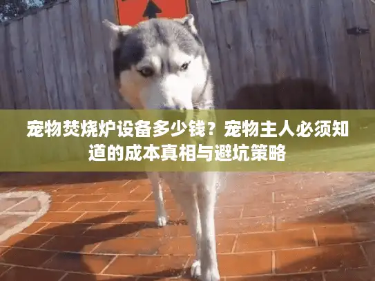 宠物焚烧炉设备多少钱？宠物主人必须知道的成本真相与避坑策略