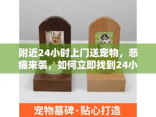 附近24小时上门送宠物，悲痛来袭，如何立即找到24小时宠物殡葬紧急服务？