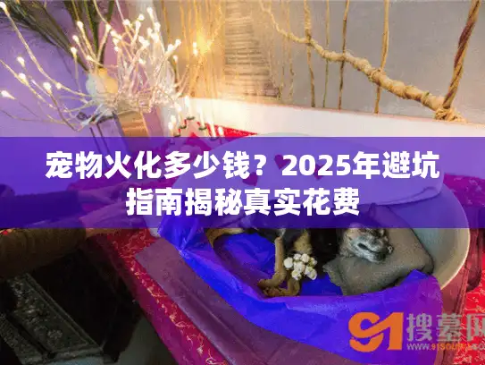 宠物火化多少钱？2025年避坑指南揭秘真实花费
