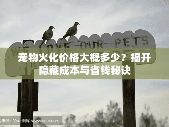 宠物火化价格大概多少？揭开隐藏成本与省钱秘诀
