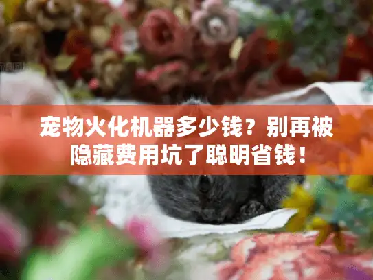 宠物火化机器多少钱？别再被隐藏费用坑了聪明省钱！