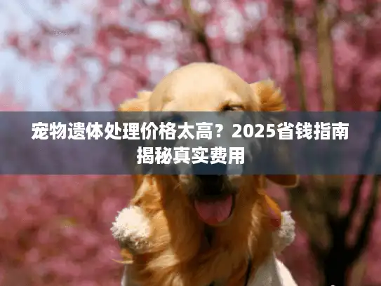 宠物遗体处理价格太高？2025省钱指南揭秘真实费用