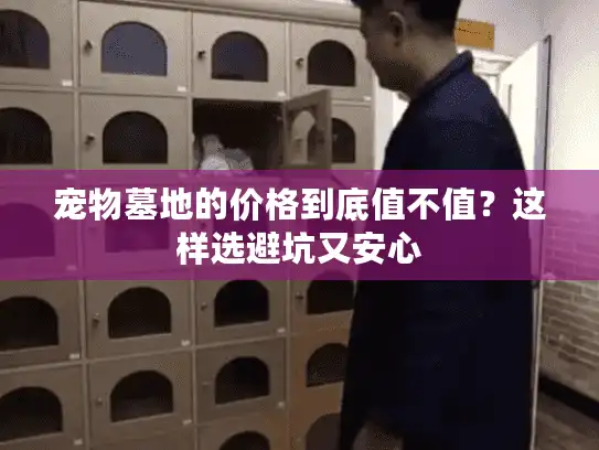 宠物墓地的价格到底值不值？这样选避坑又安心
