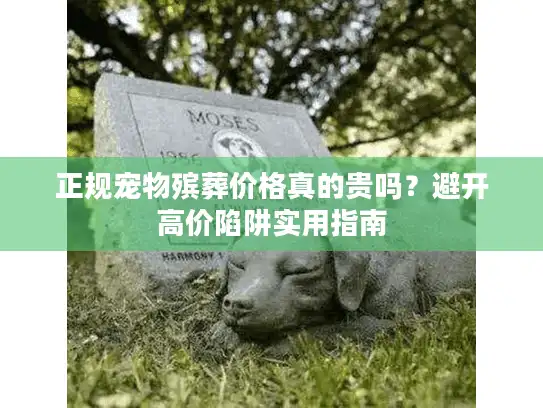 正规宠物殡葬价格真的贵吗？避开高价陷阱实用指南