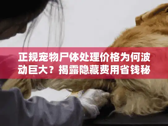 正规宠物尸体处理价格为何波动巨大？揭露隐藏费用省钱秘籍