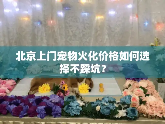 北京上门宠物火化价格如何选择不踩坑？
