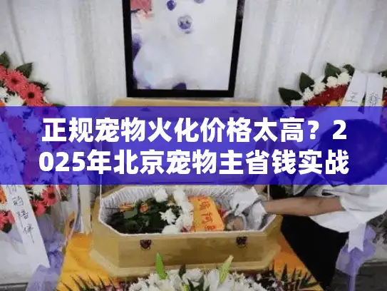 正规宠物火化价格太高？2025年北京宠物主省钱实战指南