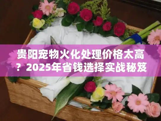 贵阳宠物火化处理价格太高？2025年省钱选择实战秘笈