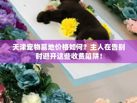 天津宠物墓地价格如何？主人在告别时避开这些收费陷阱！