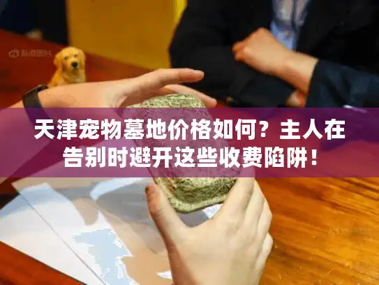 天津宠物墓地价格如何？主人在告别时避开这些收费陷阱！