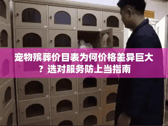 宠物殡葬价目表为何价格差异巨大？选对服务防上当指南