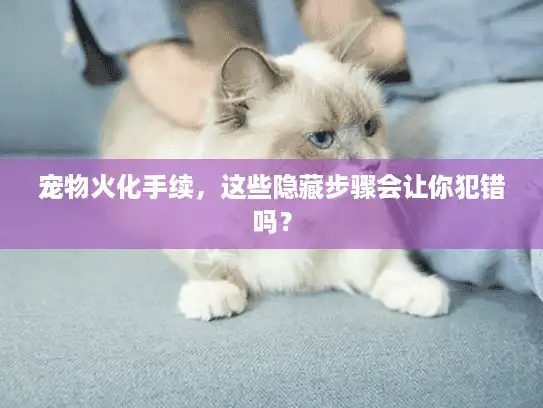 宠物火化手续，这些隐藏步骤会让你犯错吗？