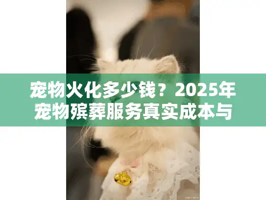 宠物火化多少钱？2025年宠物殡葬服务真实成本与避坑秘诀