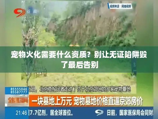 宠物火化需要什么资质？别让无证陷阱毁了最后告别
