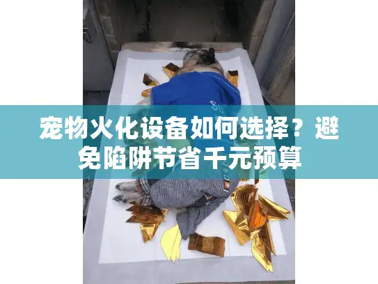 宠物火化设备如何选择？避免陷阱节省千元预算
