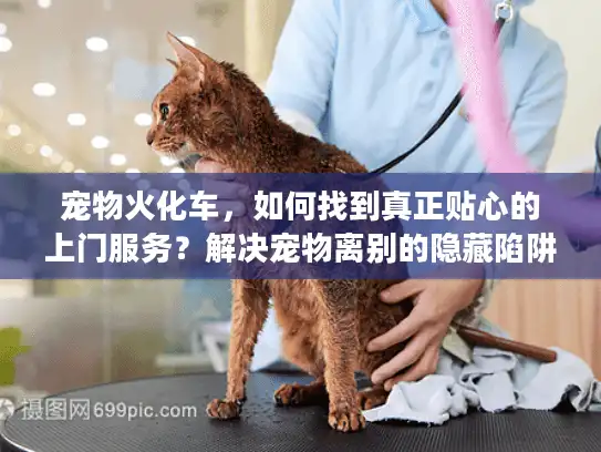 宠物火化车，如何找到真正贴心的上门服务？解决宠物离别的隐藏陷阱